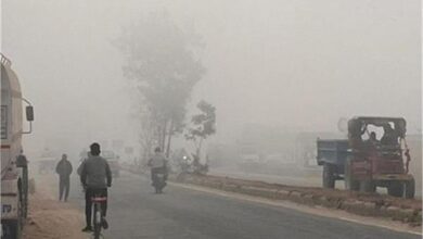 Photo of Weather: पंजाब में हवाओं का बदला रुख, शीतलहर ने बढ़ाई ठिठुरन, जानें आगे का हाल..