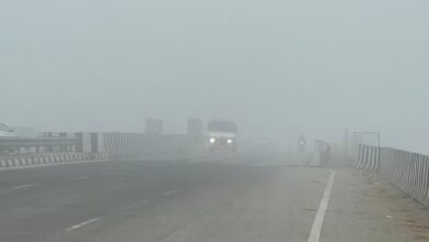 Photo of Punjab Weather: कोहरे के साथ शीतलहर का प्रकोप जारी, स्कूलों में छुट्टियां बढ़ी, जानें आगे कैसा रहेगा मौसम