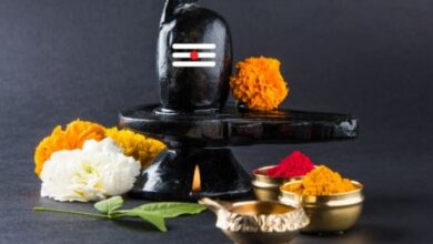 Photo of अपरा एकादशी के दिन शिवलिंग पर चढ़ाएं ये चीजें, घर में होगा देवी लक्ष्मी का आगमन