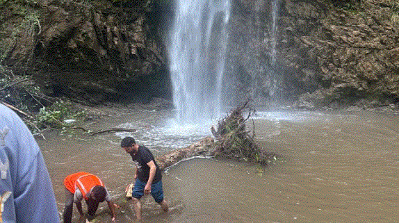 Photo of चकराता के टाइगर फॉल में हादसा: झरने के साथ गिरा पेड़, चपेट में आने से पर्यटक समेत दो की मौत