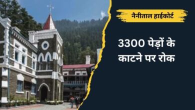 Photo of HIGH COURT BANS TREE CUTTING : नैनीताल हाईकोर्ट ने 3300 पेड़ों के कटान पर लगाई रोक!