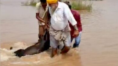 Photo of पंजाब: बाढ़ और बारिश से आफत, फिरोजपुर में घर की छत गिरी…