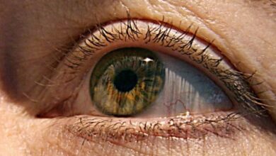 Photo of आपकी आंखें भी दे सकती हैं अल्जाइमर के शुरुआती संकेत…