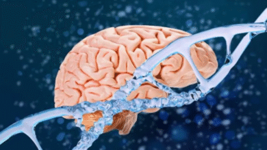 Photo of हंटिंगटन डिजीज के इलाज में नई उम्मीद! जीन थेरेपी बनी गेम-चेंजर, 75% तक धीमी हुई बीमारी की रफ्तार