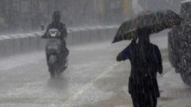 Photo of हरियाणा में अगले दो दिनों में आंधी और भारी बारिश का अलर्ट