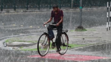 Photo of हरियाणा में होगी हल्की से मध्यम बारिश, हवाओं की दिशा में होगा बदलाव