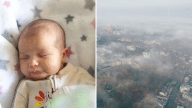 Photo of वायु प्रदूषण बिगाड़ रहा नवजात के दिमागी विकास की रफ्तार