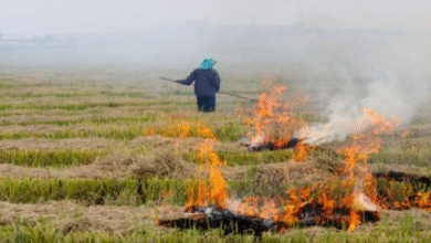 Photo of पंजाब में सांसों पर संकट: मंडी गोबिंदगढ़ की हवा सबसे खराब