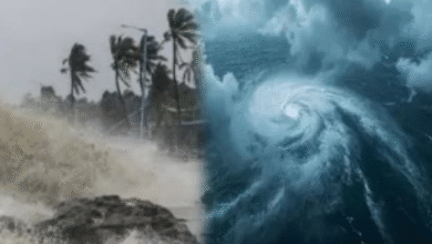 Photo of मध्य प्रदेश में ‘मोंथा’ तूफान का असर: इन 11 जिलों में तेज बारिश की चेतावनी