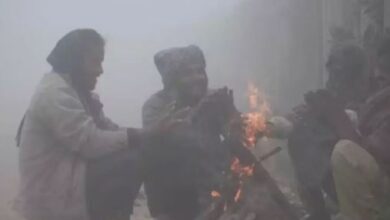 Photo of एमपी में 15 दिन से कड़ाके की ठंड, आज इन 7 जिलों में शीतलहर का अलर्ट