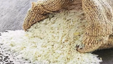 Photo of भारत ने चावल निर्यात कर महंगाई पर लगा दी लगाम, 39% तक हुआ सस्ता