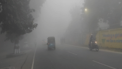 Photo of बिहार में ठंड ने दस्तक ,कोहरे ने घटाई विजिबिलिटी