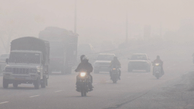 Photo of पंजाब में बड़ी ठंड , न्यूनतम पारा 2 से 3 डिग्री