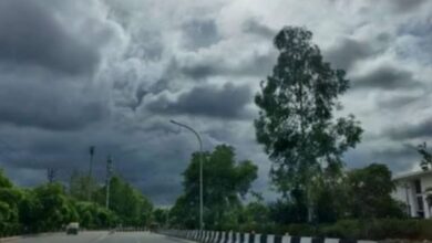 Photo of बर्फीली हवाओं ने बढ़ाई ठंड, मध्यप्रदेश में पारा 6 डिग्री तक लुढ़का