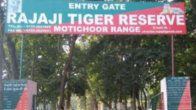 Photo of देहरादून: सैलानियों के लिए खुलेगा राजाजी टाइगर रिजर्व पार्क