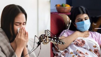 Photo of वायरल और डेंगू बुखार में क्या है अंतर? ऐसे करे पहचान