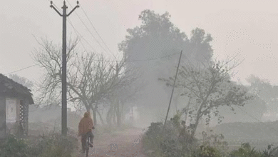 Photo of हरियाणा में तेजी से गिर रहा तापमान, पड़ने वाली है कड़ाके की ठंड