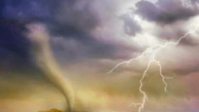 Photo of बिहार: आज इन 29 जिलों में होगी बारिश