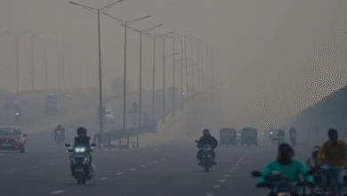 Photo of यूपी: नवंबर में दिसंबर जैसी सर्दी का अहसास