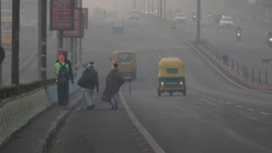 Photo of एमपी में ठंडी हवाओं ने बढ़ाई ठिठुरन, तापमान 5.8 डिग्री