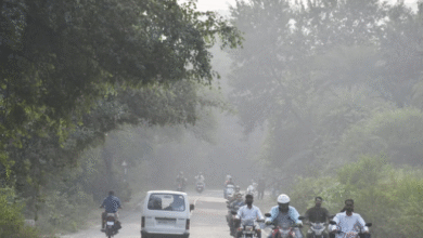 Photo of मध्यप्रदेश में रिकॉर्डतोड़ सर्दी, बर्फीली हवाओं से शीतलहर तेज