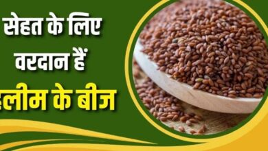 Photo of रोज हलीम के बीज खाने से शरीर में दिखेंगे 7 कमाल के बदलाव
