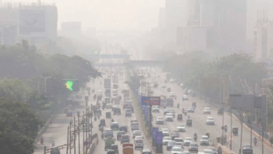 Photo of वायु प्रदूषण पर BMC को बॉम्बे हाई कोर्ट की फटकार