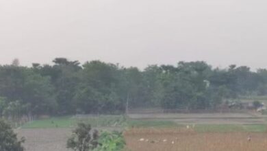 Photo of पटना समेत कई जिलों में लगातार बढ़ रही है ठंड