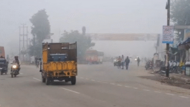 Photo of पंजाब में घने कोहरे का अलर्ट: 13 जिलों में धुंध से बढ़ेगी दिक्कत