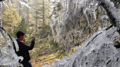 Photo of जम्मू-कश्मीर में माइनस में पहुंचा पारा,  बर्फबारी की संभावना