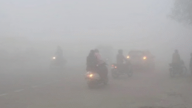 Photo of घने कोहरे की चपेट में पंजाब: दृश्यता 200 मीटर तक, न्यूनतम तापमान में गिरावट