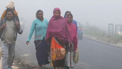 Photo of बिहार: पछुआ हवा ने बढ़ाई कनकनी, पारा सात डिग्री तक नीचे चला गया