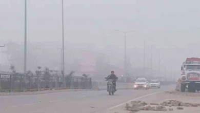 Photo of उत्तराखंड: आज से बढ़ेगी ठंड; पहाड़ों में बारिश- बर्फबारी के आसार